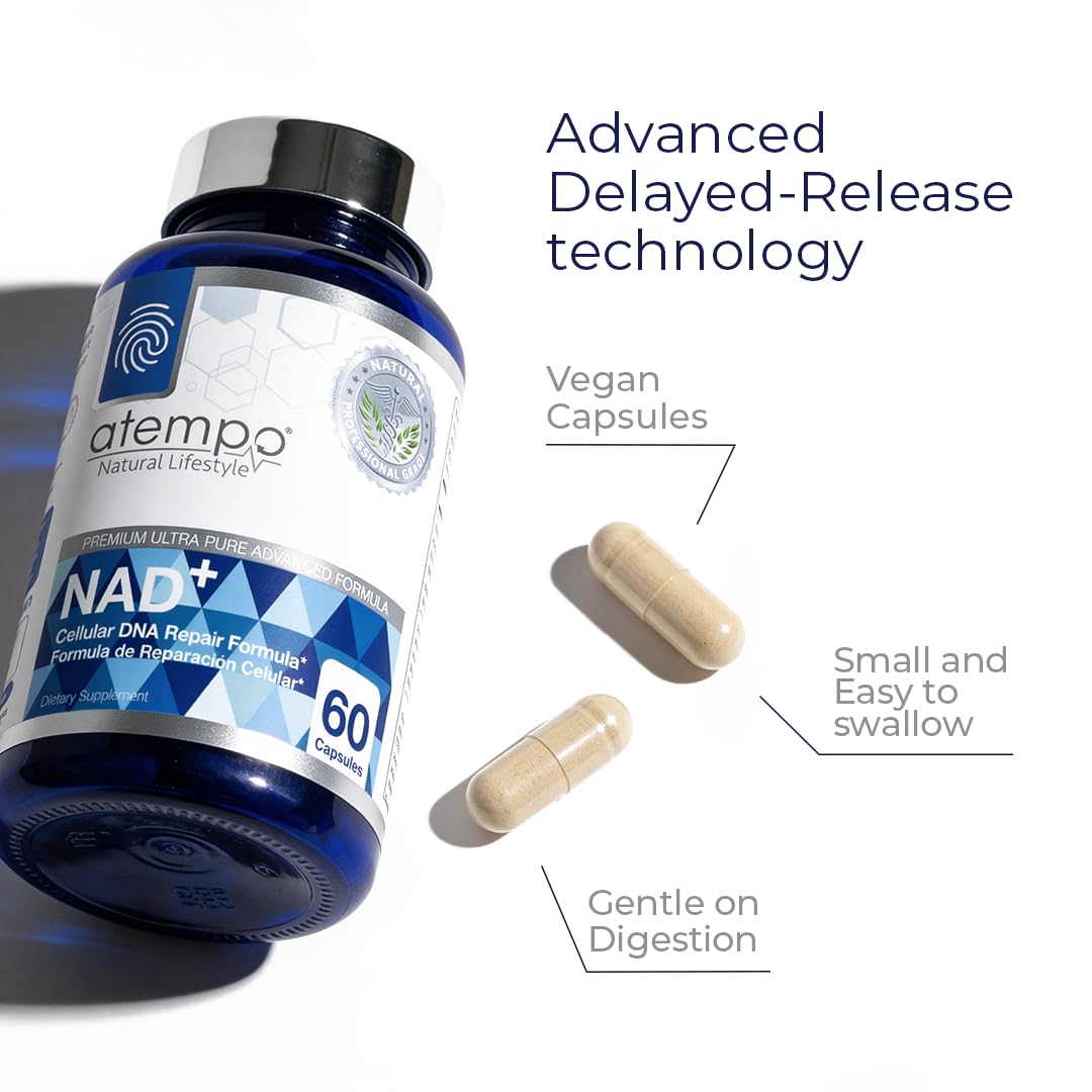 NAD+ Supplement 1000 mg High Absorption – Supports Energy, Cellular Health, Brain Function, and Healthy Aging – Pure NAD Formula with 60 Capsules - Maple Wellness Supplements