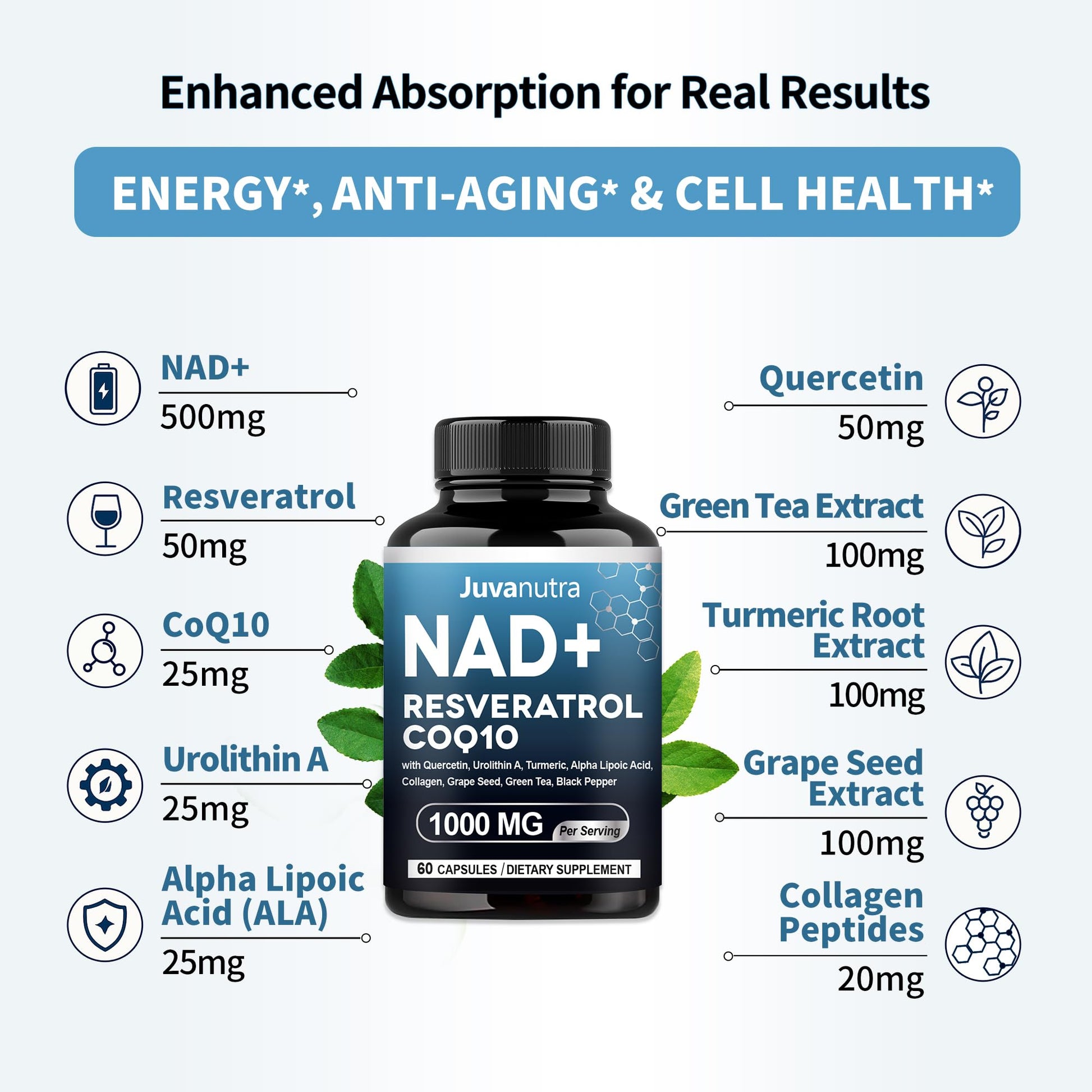 NAD Supplement 11-in-1 Extra Strength – Liposomal NAD with Resveratrol, CoQ10, Urolithin A, ALA & Turmeric – Supports Anti-Aging, Cellular Repair, Energy & Focus – for Women & Men – 60 Capsules - Maple Wellness Supplements