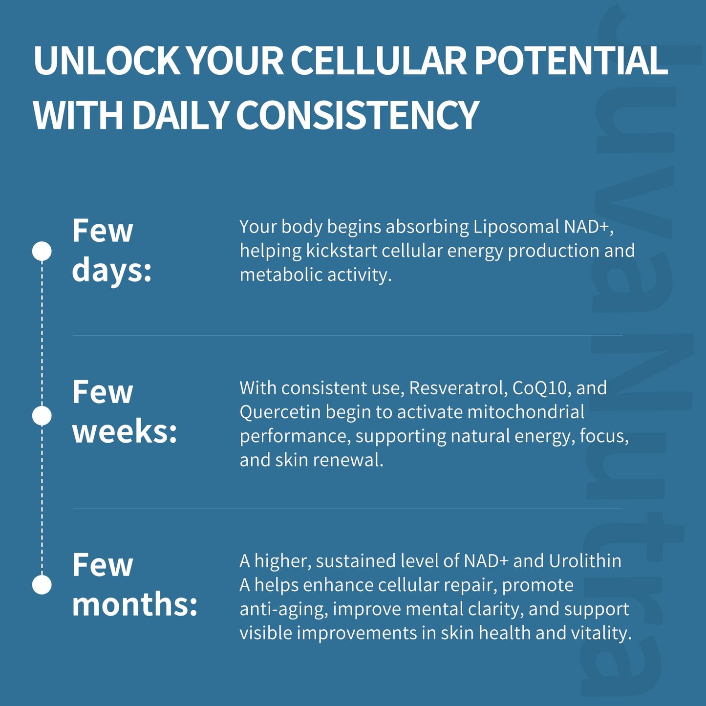 NAD Supplement 11-in-1 Extra Strength – Liposomal NAD with Resveratrol, CoQ10, Urolithin A, ALA & Turmeric – Supports Anti-Aging, Cellular Repair, Energy & Focus – for Women & Men – 60 Capsules - Maple Wellness Supplements