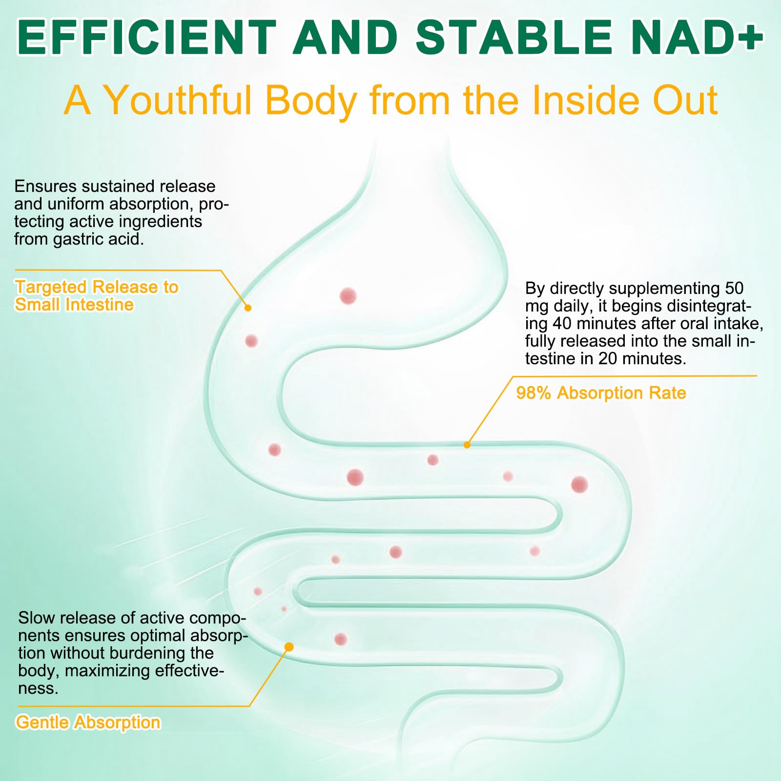 NAD Supplement 120 Capsules, Liposomal Nicotinamide Riboside, Resveratrol, Quercetin, NAD Nicotinamide Riboside Resveratrol 910mg for Women & Men, NAD Supplement for Anti Aging and Cell Regeneration - Maple Wellness Supplements