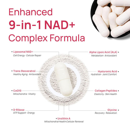 NAD+ Supplement for Women - NMN Alternative with β-NAD+, Trans-Resveratrol, CoQ10, D-Ribose - Promotes Cellular Renewal, Energy, and Radiant Skin Health - 60 Capsules Advanced - Maple Wellness Supplements