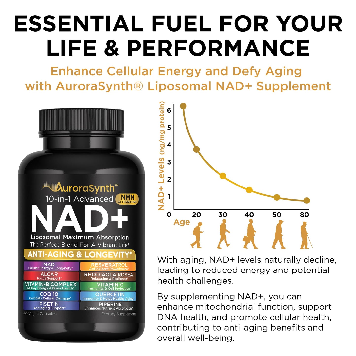 NAD+ Supplement Liposomal Capsules - Max Absorption for Cellular Energy, Healthy Aging, Brain Function & DNA Health - Vegan, Non-GMO, Gluten-Free Supplement - 60 Capsules - Supports NAD Levels - Maple Wellness Supplements