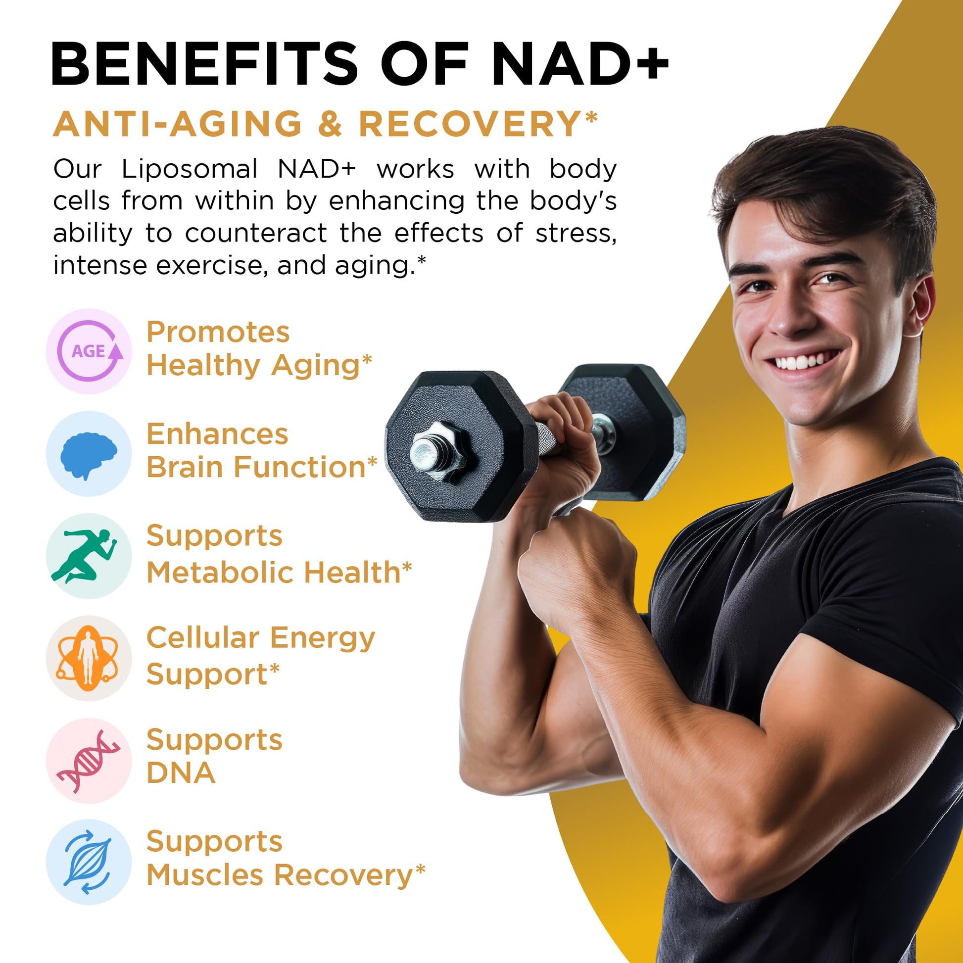 NAD+ Supplement Liposomal Capsules - Max Absorption for Cellular Energy, Healthy Aging, Brain Function & DNA Health - Vegan, Non-GMO, Gluten-Free Supplement - 60 Capsules - Supports NAD Levels - Maple Wellness Supplements