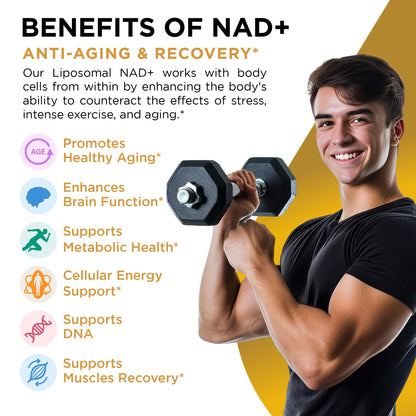 NAD+ Supplement Liposomal Capsules - Max Absorption for Cellular Energy, Healthy Aging, Brain Function & DNA Health - Vegan, Non-GMO, Gluten-Free Supplement - 60 Capsules - Supports NAD Levels - Maple Wellness Supplements