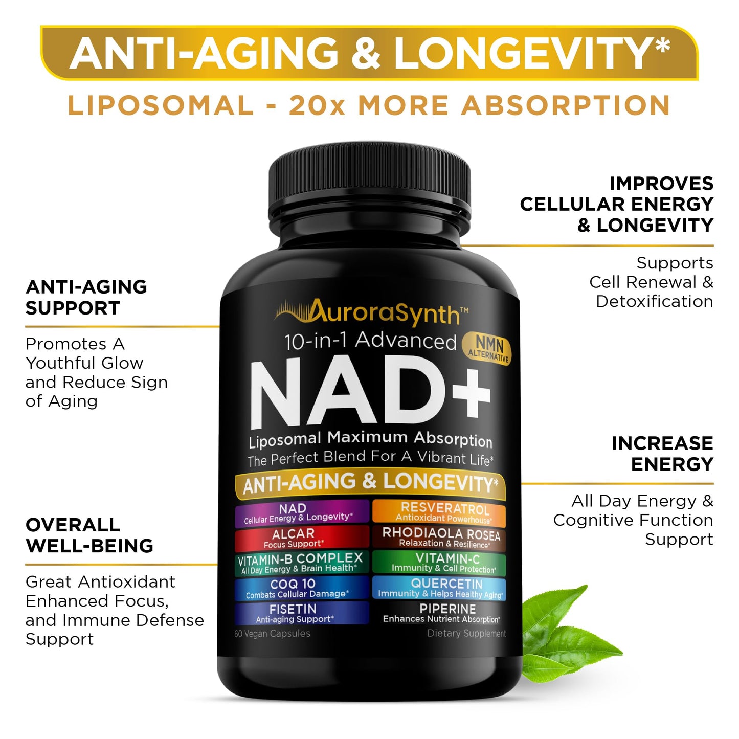 NAD+ Supplement Liposomal Capsules - Max Absorption for Cellular Energy, Healthy Aging, Brain Function & DNA Health - Vegan, Non-GMO, Gluten-Free Supplement - 60 Capsules - Supports NAD Levels - Maple Wellness Supplements