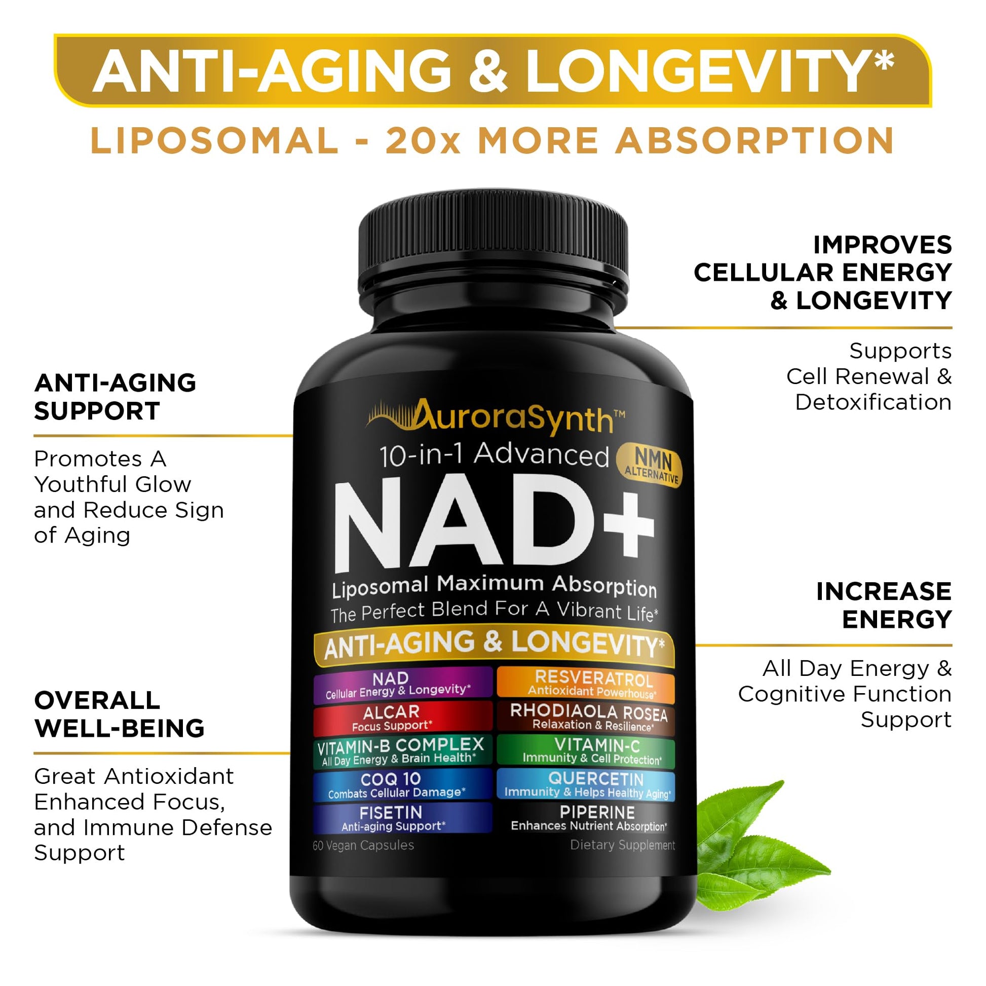 NAD+ Supplement Liposomal Capsules - Max Absorption for Cellular Energy, Healthy Aging, Brain Function & DNA Health - Vegan, Non-GMO, Gluten-Free Supplement - 60 Capsules - Supports NAD Levels - Maple Wellness Supplements