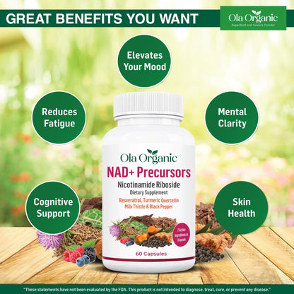 NAD+ Supplement & NAD Booster for Cellular Energy and Healthy Aging – Plant-Based Nicotinamide Riboside (NR) NAD Precursor with Resveratrol, Turmeric, Quercetin, Rhodiola & Milk Thistle – 60 Capsules - Maple Wellness Supplements