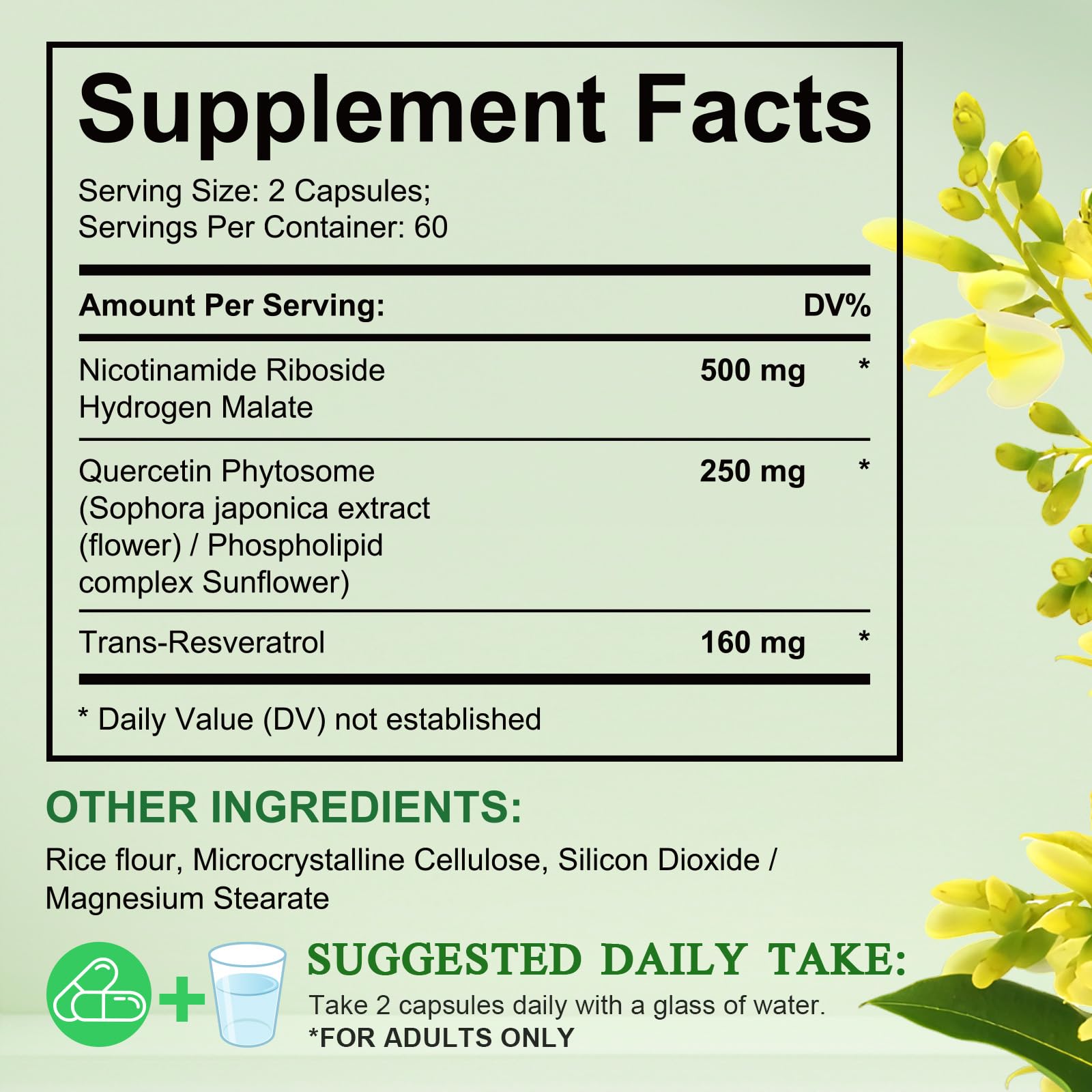 NAD Supplement, Nicotinamide Riboside, NAD 910MG Liposomal Supplements for Women & Men, NAD+ Supplement for Anti Aging and Cell Regeneration -120 Capsules - Maple Wellness Supplements