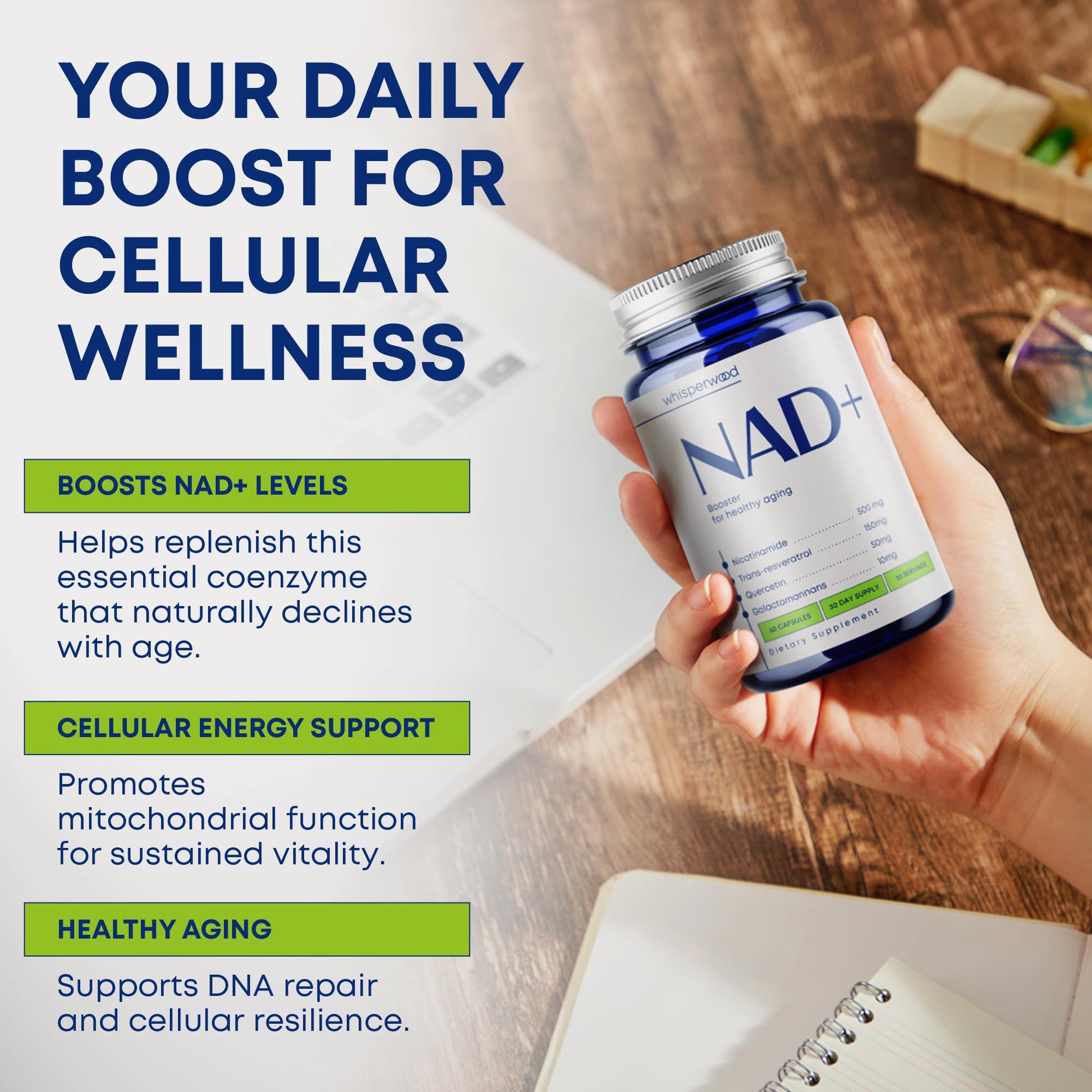 NAD+ Supplement with Nicotinamide Riboside, Trans Resveratrol & Quercetin – NAD Plus Complex for Energy, Brain & Mitochondrial Support – Antioxidant and Longevity Formula for Women & Men – 60 capsules - Maple Wellness Supplements