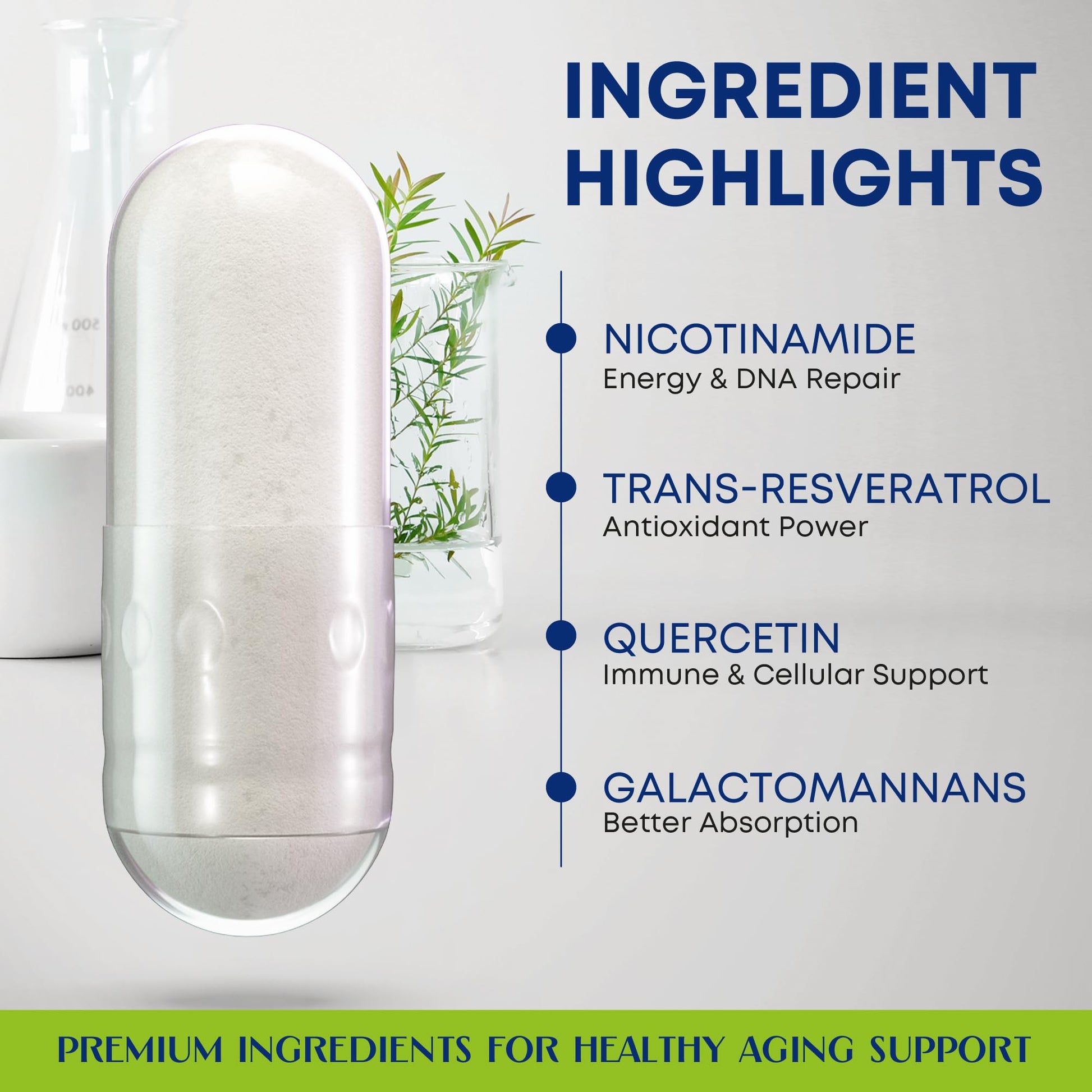 NAD+ Supplement with Nicotinamide Riboside, Trans Resveratrol & Quercetin – NAD Plus Complex for Energy, Brain & Mitochondrial Support – Antioxidant and Longevity Formula for Women & Men – 60 capsules - Maple Wellness Supplements