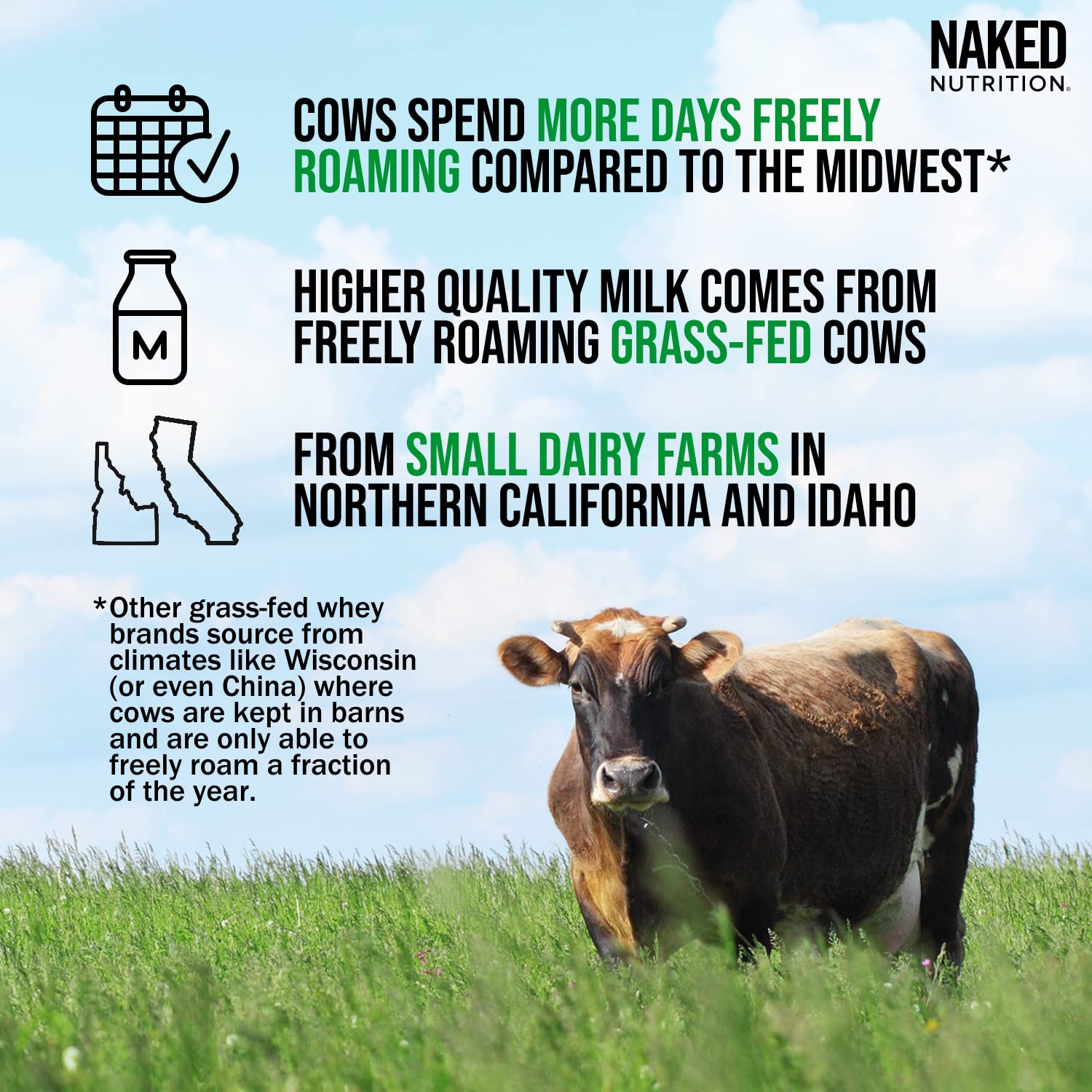 NAKED WHEY 5LB 100% Grass Fed Unflavored Whey Protein Powder - US Farms - Maple Wellness Supplements