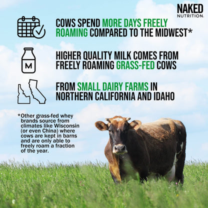 NAKED Whey Double Chocolate Grass Fed Whey Protein Powder, No GMO, No Soy - Maple Wellness Supplements