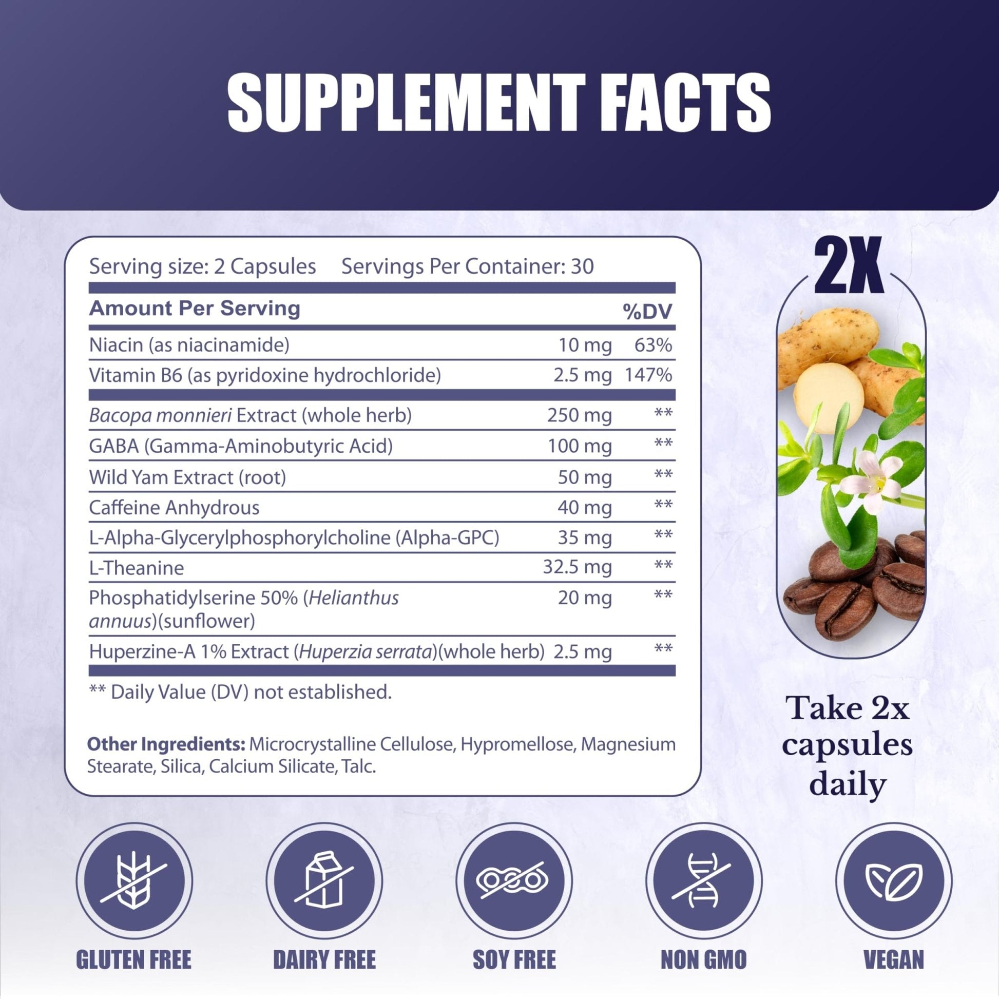 NATION HEALTH MD Cognilux - Brain Supplements for Memory and Focus - Nootropic Focus Supplement with Niacin, Vitamin B6, GABA and More - Memory Supplement for Brain, Brain Health - Maple Wellness Supplements