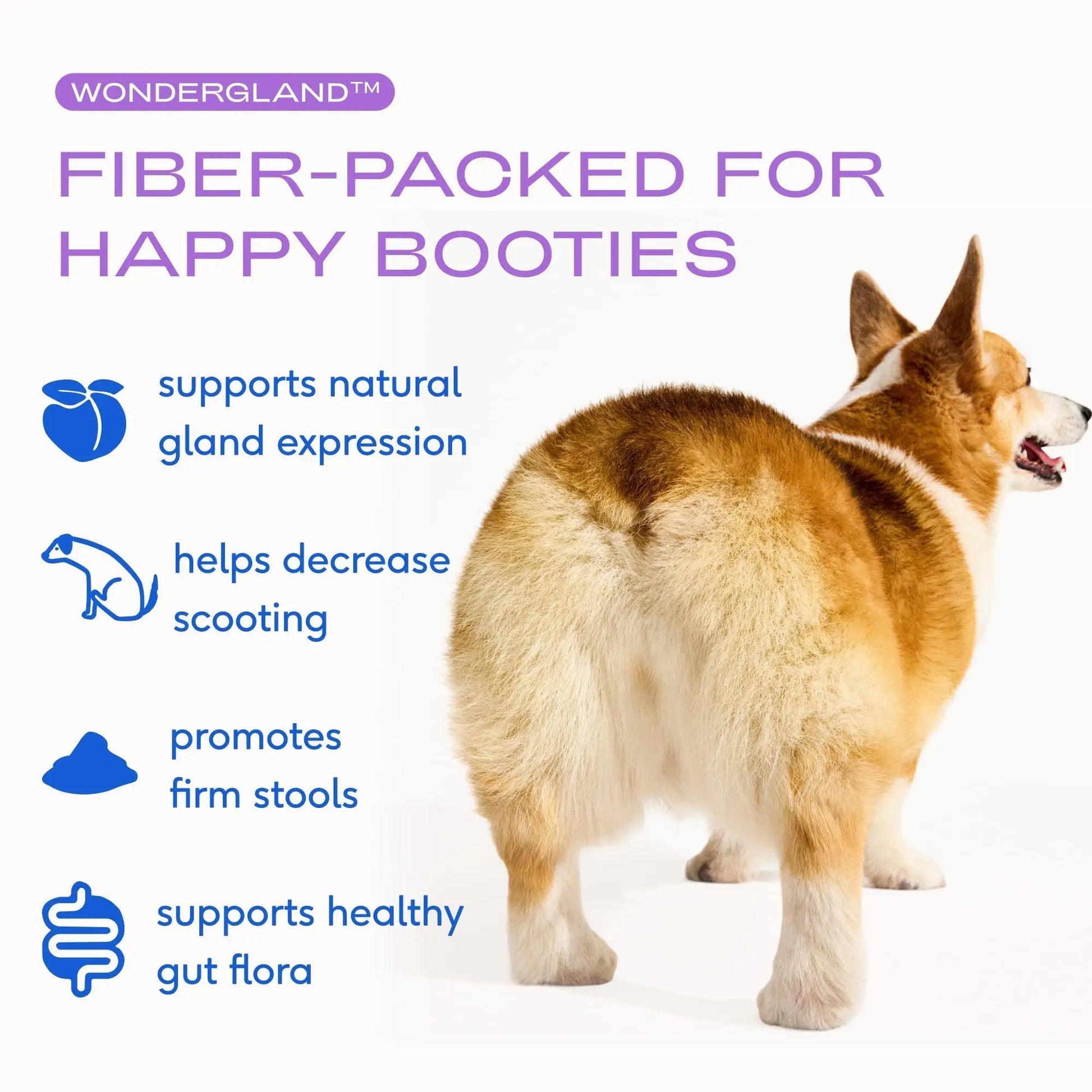 Native Pet WonderGland - Dog Anal Gland Supplement - Promotes Firm Stools, Natural Gland Expression to Help Reduce Scooting - Fiber Food Topper with Miscanthus Grass, Pumpkin & Probiotics - 30 Scoops - Maple Wellness Supplements