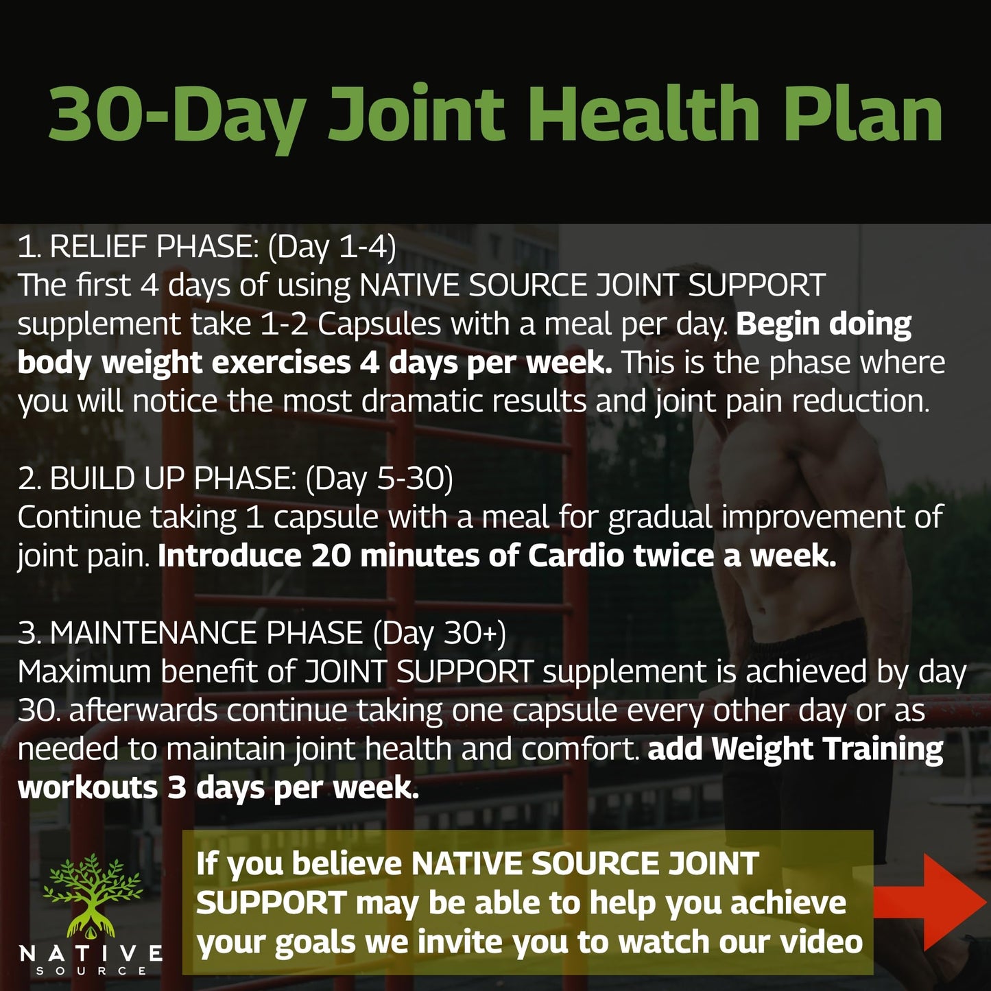 Native Source Joint Support Supplement - Turmeric - Tamarind - Boswellia - Fenugreek - Maple Wellness Supplements