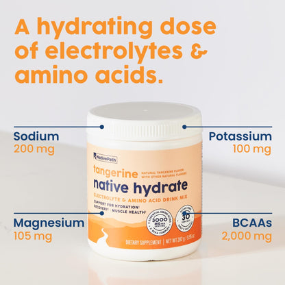 NativePath Hydrate, Zero Sugar, Electrolytes Powder with BCAAs, Tangerine Hydration, Keto & Paleo Friendly, 30 Servings - Maple Wellness Supplements
