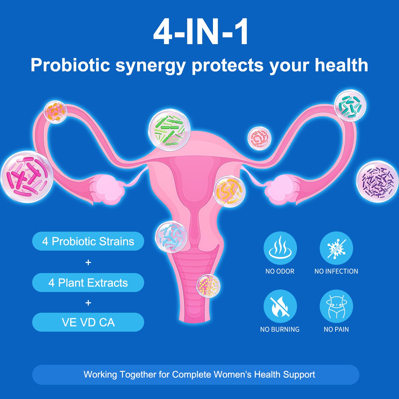 Natprime Menopause Supplements for Women - 60 Billion CFU Akkermansia Probiotic for Hormonal Balance, Night Sweats, Hot Flashes Relief, Gut Health, Mood Support & URO Viginal probiotic - 60 Ct 30 Day - Maple Wellness Supplements