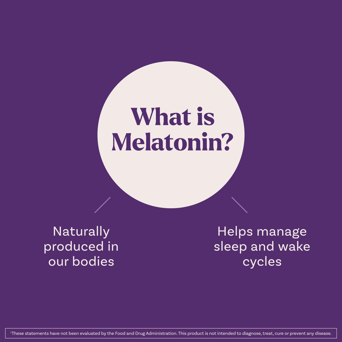 Natrol Liquid Melatonin 1 mg, Adult Melatonin Supplement to Fall Asleep Faster and Stay Asleep Longer, Wake Up Refreshed, - Maple Wellness Supplements