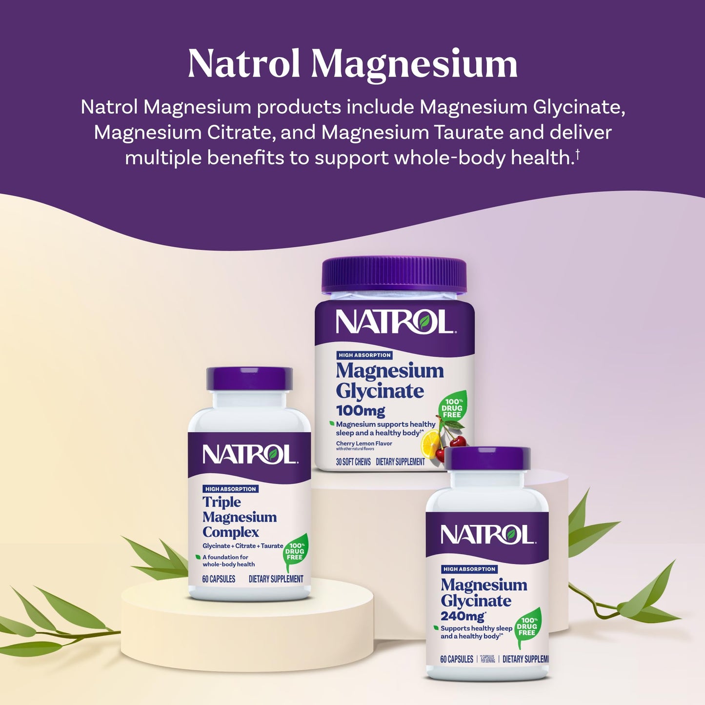 Natrol Triple Magnesium Complex Supplement, Glycinate, Citrate & Taurate 200mg High Absorption, Support Whole Body Wellness, 60 Capsules - Maple Wellness Supplements