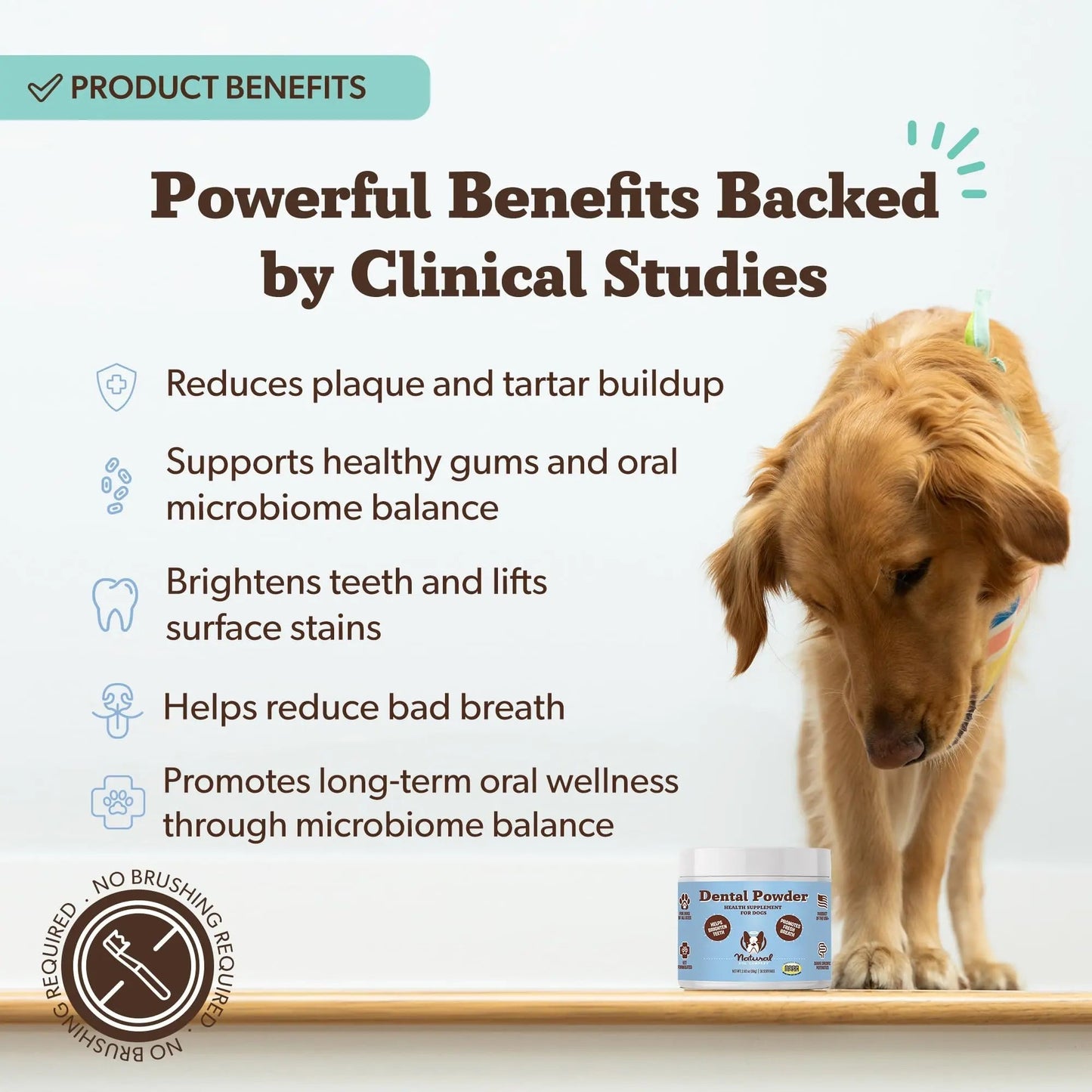 Natural Dog Company Dental Powder for Dogs – Freshens Breath & Helps Reduce Plaque & Tartar, Natural No-Brushing Canine Oral Health Postbiotic Supplement, Vet Formulated, Made in USA, 30-Day Supply - Maple Wellness Supplements
