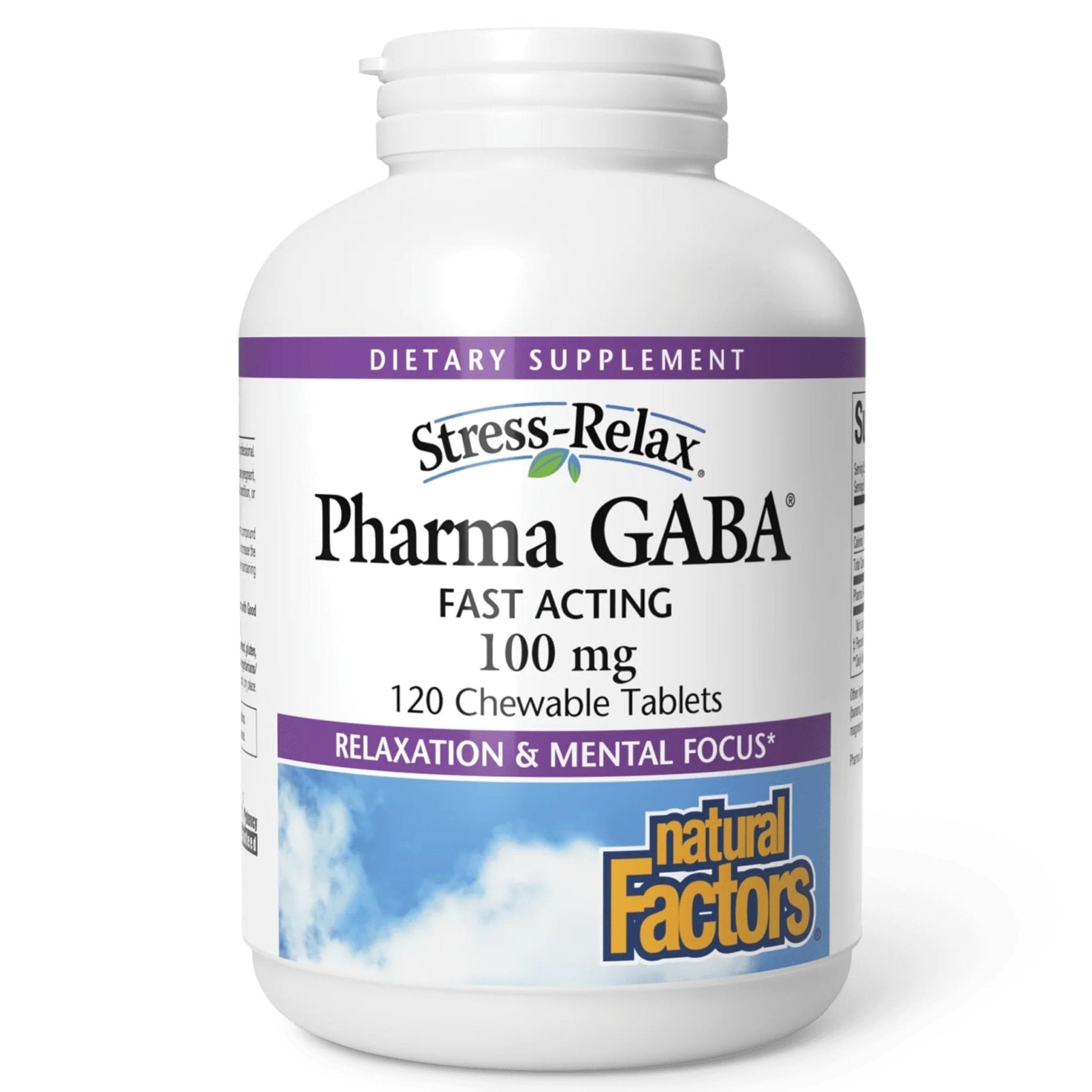 Natural Factors Pharma GABA - Dietary Supplement Supports Calm Sleep & Sleep Quality - Natural, Fast-Working Supplement Aids Focus & Brain Health - 120 Chewable Tablets (60 Servings) - Maple Wellness Supplements