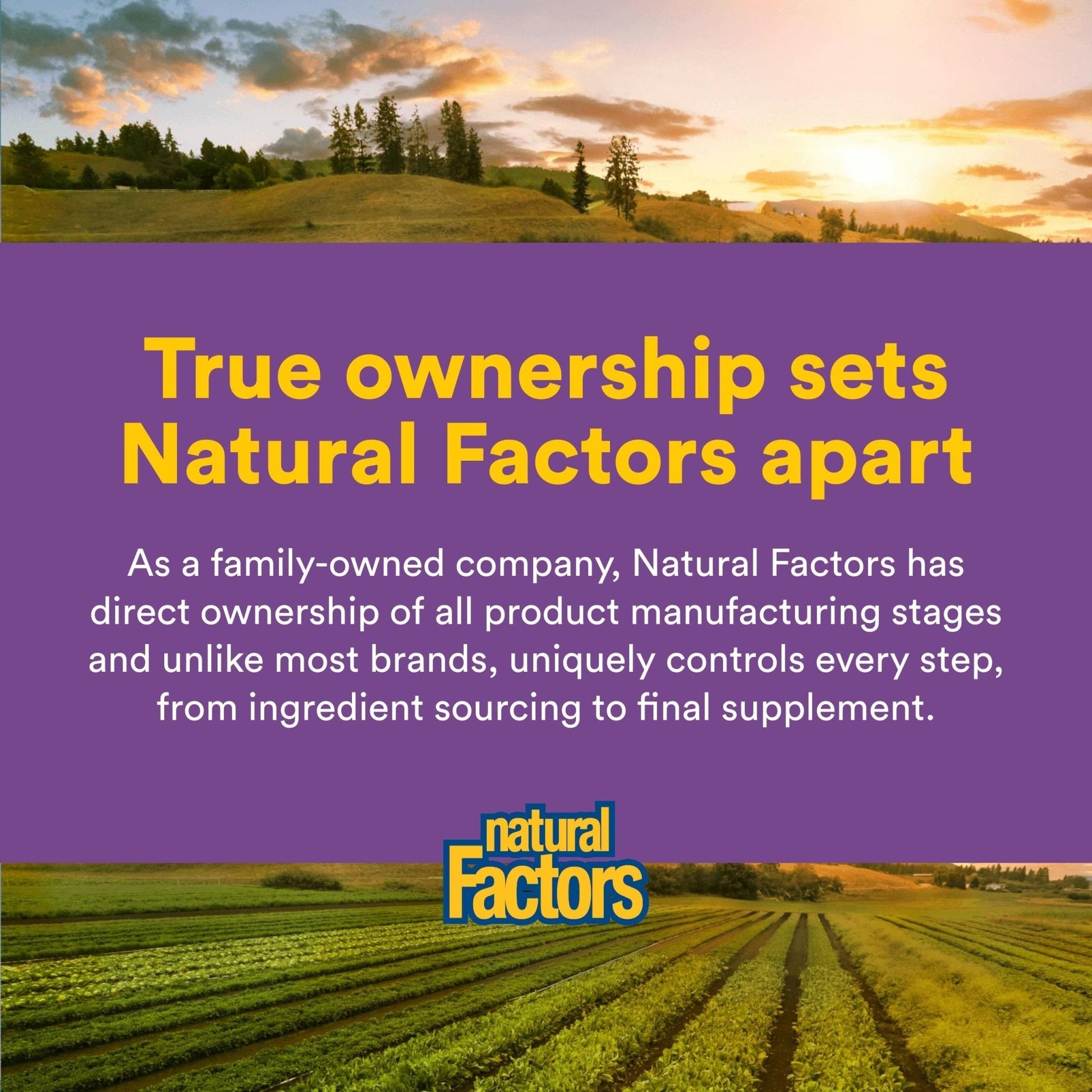 Natural Factors Pharma GABA - Dietary Supplement Supports Calm Sleep & Sleep Quality - Natural, Fast-Working Supplement Aids Focus & Brain Health - 60 Chewable Tablets (60 Servings) - Maple Wellness Supplements