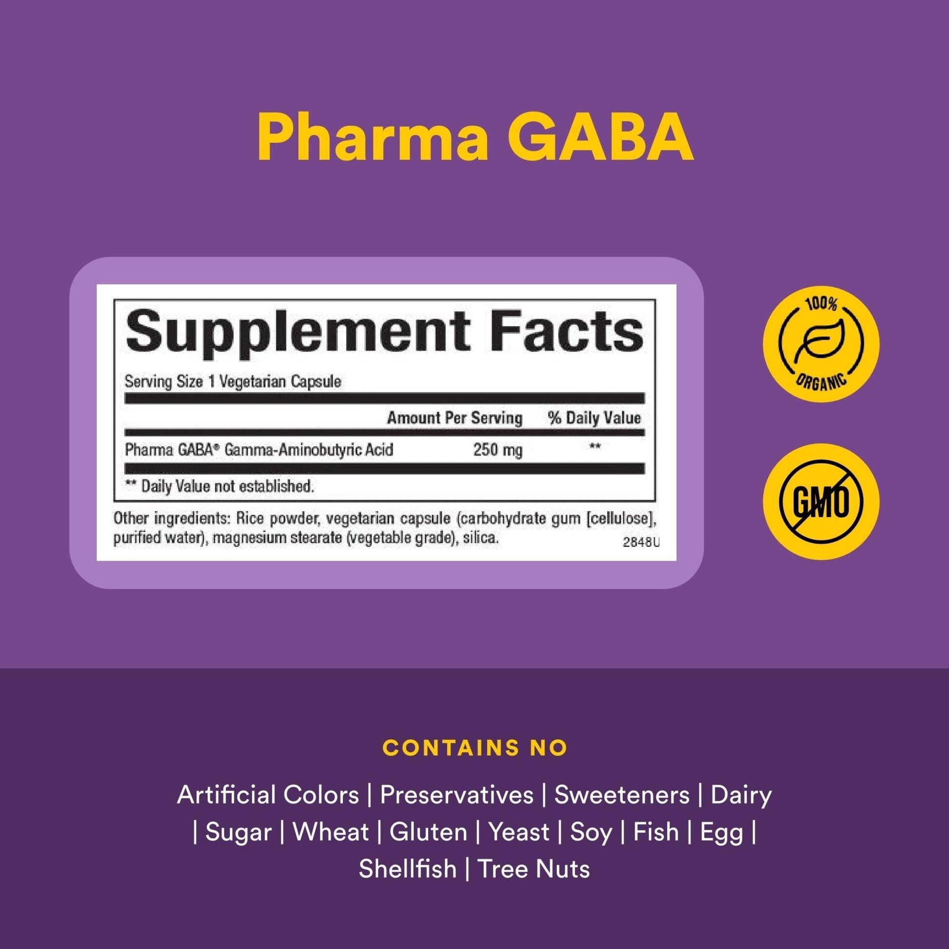 Natural Factors Pharma GABA - Dietary Supplement Supports Calm Sleep & Sleep Quality - Natural, Fast-Working Supplement Aids Focus & Brain Health - 60 Chewable Tablets (60 Servings) - Maple Wellness Supplements