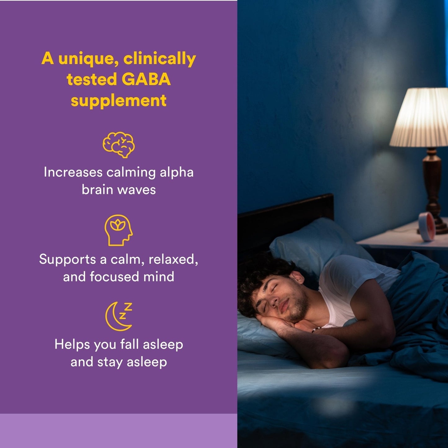 Natural Factors Pharma GABA - Dietary Supplement Supports Calm Sleep & Sleep Quality - Natural, Fast-Working Supplement Aids Focus & Brain Health - 60 Chewable Tablets (60 Servings) - Maple Wellness Supplements