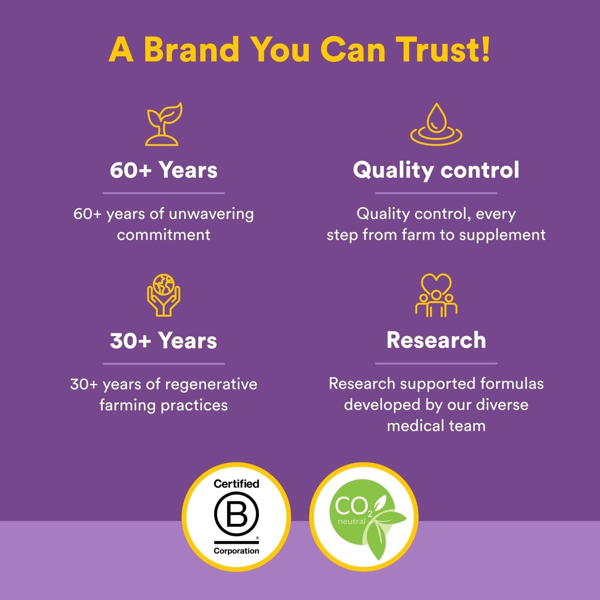 Natural Factors Pharma GABA - Dietary Supplement Supports Calm Sleep & Sleep Quality - Natural, Fast-Working Supplement Aids Focus & Brain Health - 60 Chewable Tablets (60 Servings) - Maple Wellness Supplements
