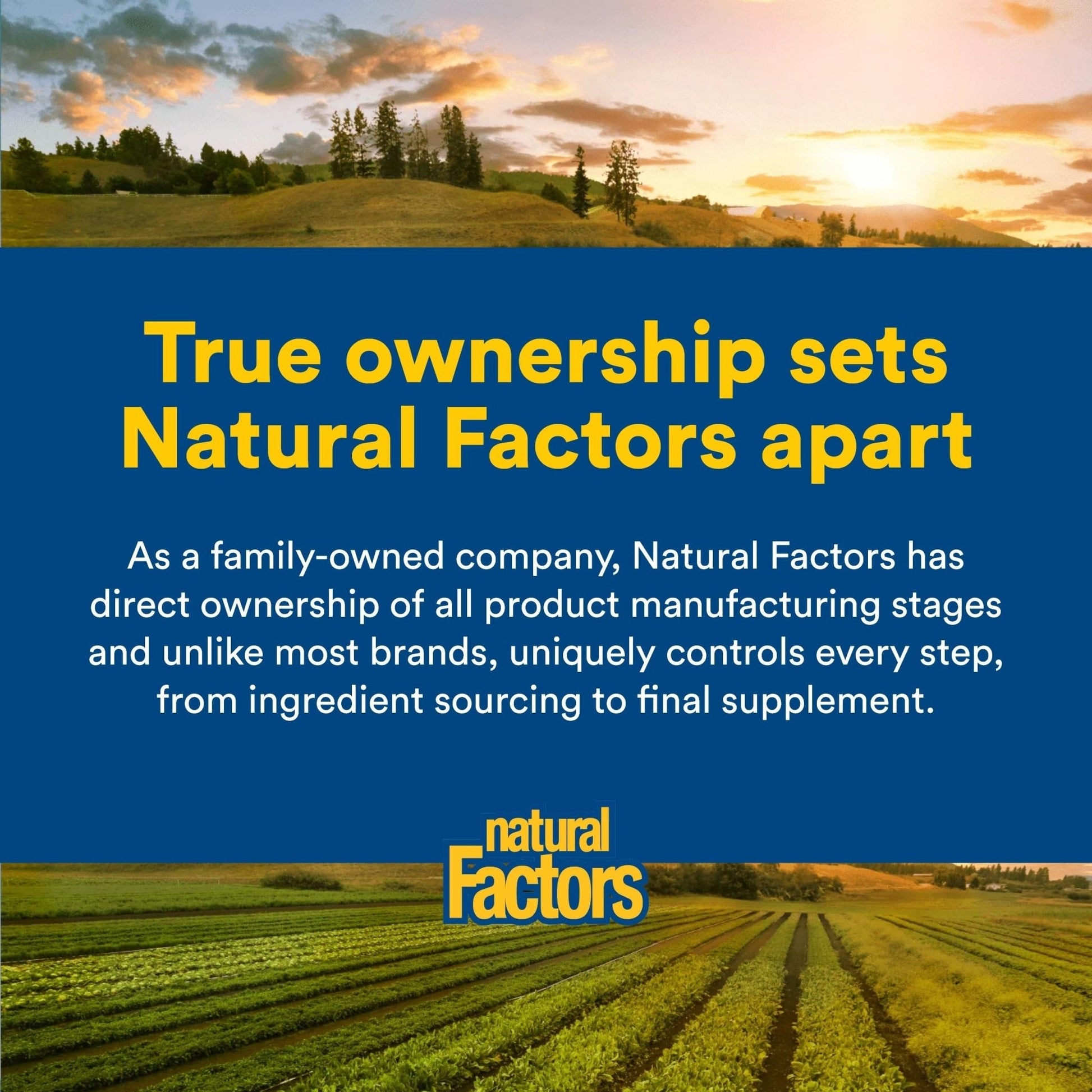 Natural Factors, Vitamin D3 5000 IU (125 mcg), Supports Strong Bones, Muscles and Immune Function, 360 Softgels - Maple Wellness Supplements