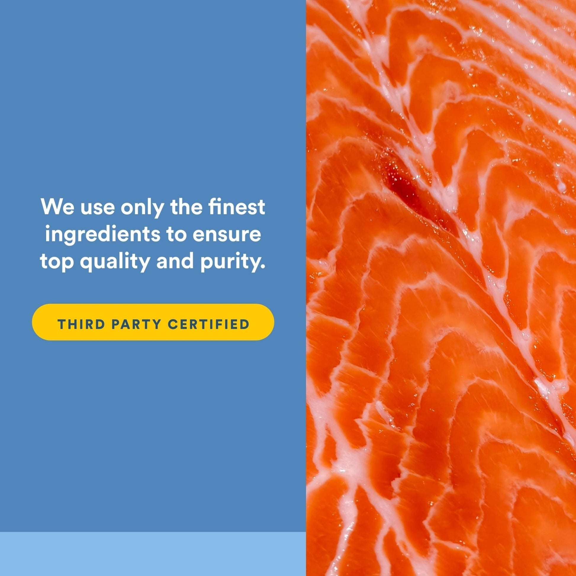 Natural Factors Wild Alaskan Salmon Oil Provides Omega-3, EPA, DHA & Vitamin D, Supports Brain & Heart Health, 180 Softgels - Maple Wellness Supplements