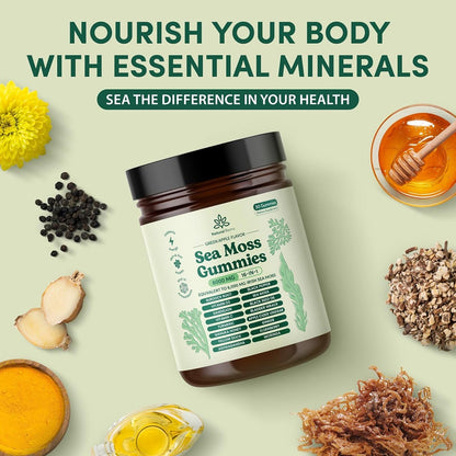 Natural Rems Sea Moss Gummies 16-in-1 - Ashwagandha Black Seed Oil Bladder Wrack Turmeric Vitamin C & D3 with Manuka Burdock Root Dandelion Yellow - Maple Wellness Supplements