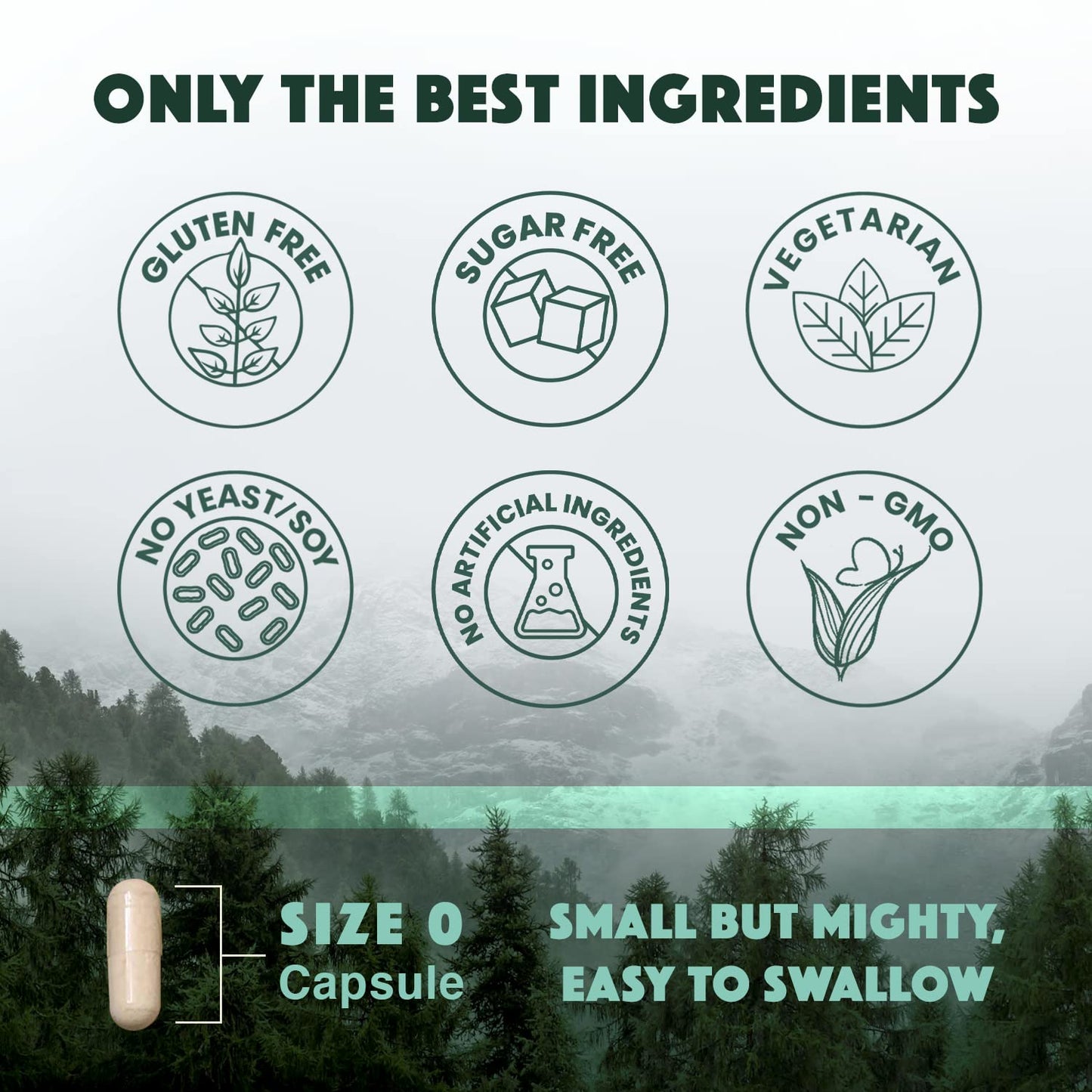 Natural Rhythm Triple Calm Magnesium Complex - 120 Capsules, Chelated Magnesium Glycinate, Taurate & Malate, High Absorption Supplement for Sleep, Stress, Muscle & Heart Support, Non-GMO, Vegan - Maple Wellness Supplements
