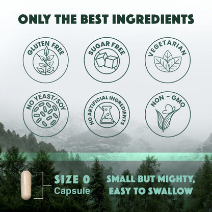 Natural Rhythm Triple Calm Magnesium Complex - 120 Capsules, Chelated Magnesium Glycinate, Taurate & Malate, High Absorption Supplement for Sleep, Stress, Muscle & Heart Support, Non-GMO, Vegan - Maple Wellness Supplements