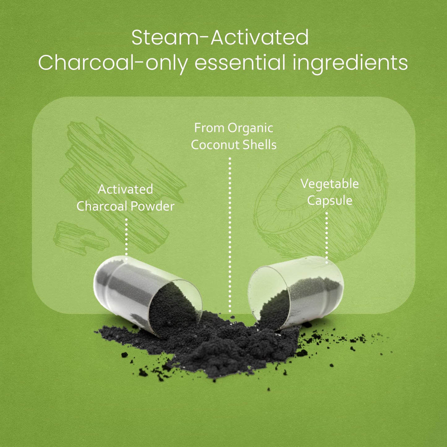 NaturaLife Labs Activated Charcoal 1200 mg per Serving – from Coconut Shells – 100 Veg Capsules – Non-GMO, Gluten-Free, Vegan - Maple Wellness Supplements
