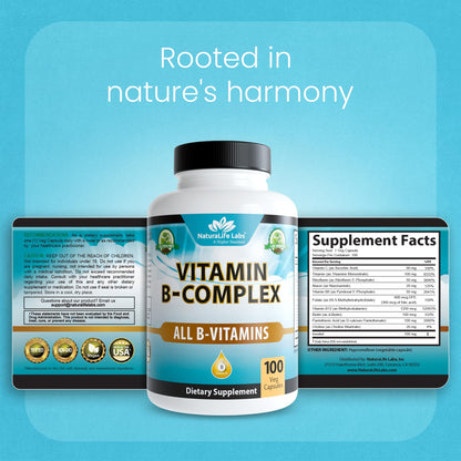 NaturaLife Labs Vitamin B Complex – All B Vitamins Including Active B2, B6, B9 & B12 (Methylcobalamin), Plus B1, B3, B5, B7 & Vitamin C – 100 Capsules - Maple Wellness Supplements
