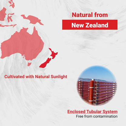 Naturalis New Zealand Astaxanthin (12mg) | Enhanced with Natural Vitamin E | Non-GMO, Soy & Gluten Free | 120 Softgels (4 Month Supply) - Maple Wellness Supplements
