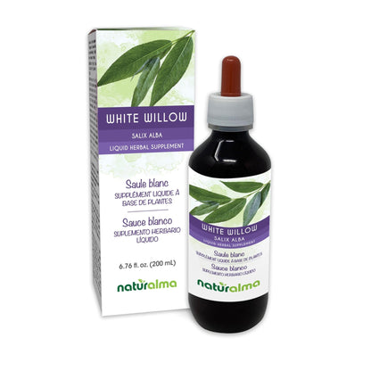Naturalma White Willow (Salix alba) bark Alcohol-Free Tincture - 6.76 fl oz Liquid Extract in Drops - Herbal Supplement - Vegan - Maple Wellness Supplements