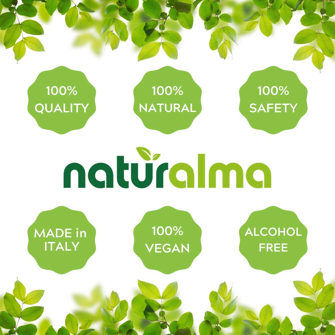 Naturalma White Willow (Salix alba) bark Alcohol-Free Tincture - 6.76 fl oz Liquid Extract in Drops - Herbal Supplement - Vegan - Maple Wellness Supplements