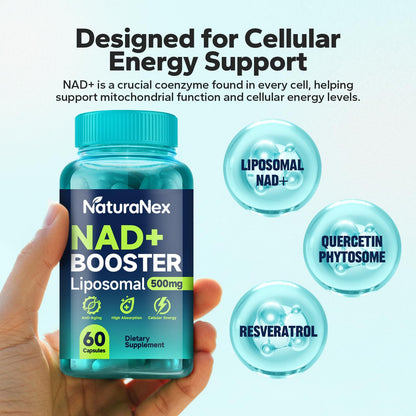 NaturaNex NAD+ Supplement 650mg (60 Capsules), Liposomal NAD+ with Resveratrol & Quercetin, Third-Party Tested, NMN Supplement Alternative - Maple Wellness Supplements