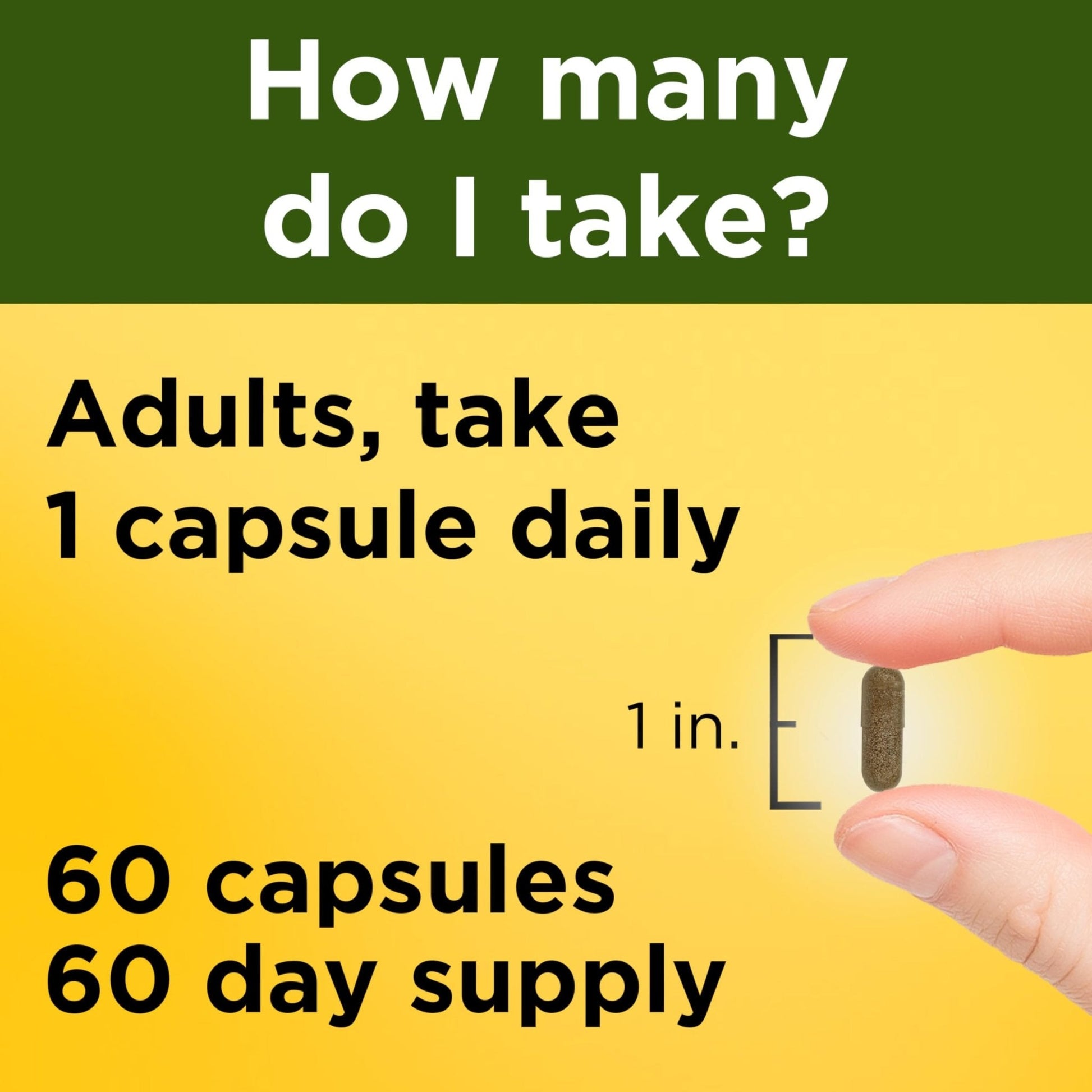 Nature Made Ashwagandha Capsules 125mg for Stress Support, Ashwagandha Supplements, 60 Capsules, 60 Day Supply - Maple Wellness Supplements
