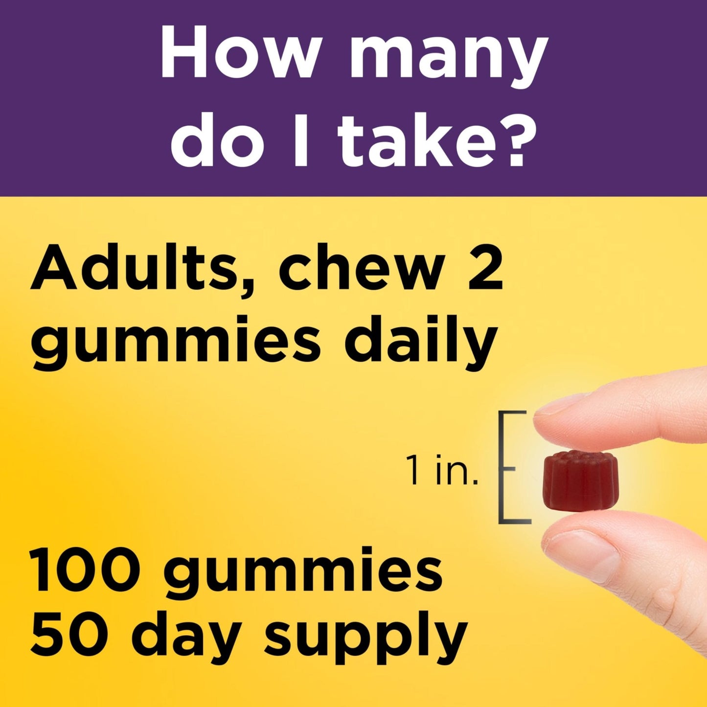 Nature Made Elderberry Gummies with Vitamin C and Zinc, Dietary Supplement for Immune Support - Maple Wellness Supplements