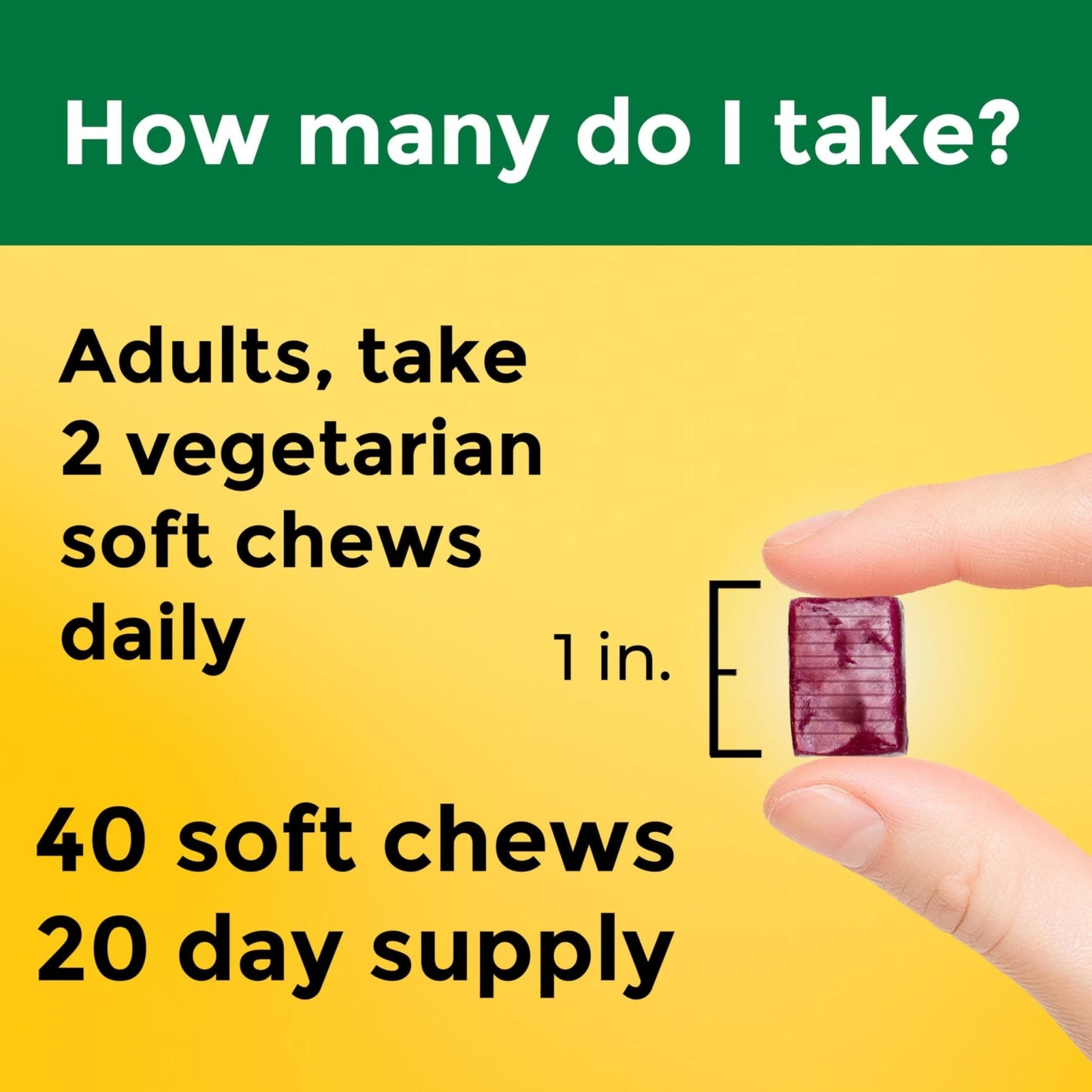 Nature Made High Absorption Magnesium Complex Soft Chews, Magnesium Supplement for Muscle, Heart, Bone Support, Magnesium Citrate & Malate Blend 250 mg per Serving, 40 Vegetarian Chews, 20 Day Supply - Maple Wellness Supplements