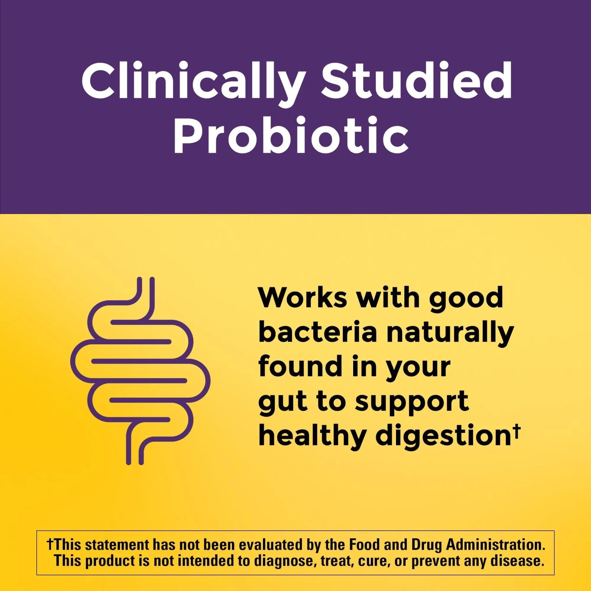 Nature Made Probiotics Extra Strength Dosage, Probiotics for Women and Men 8 Billion CFU per 2 Gummies, 42 Probiotic Gummies, 21 Day Supply - Maple Wellness Supplements