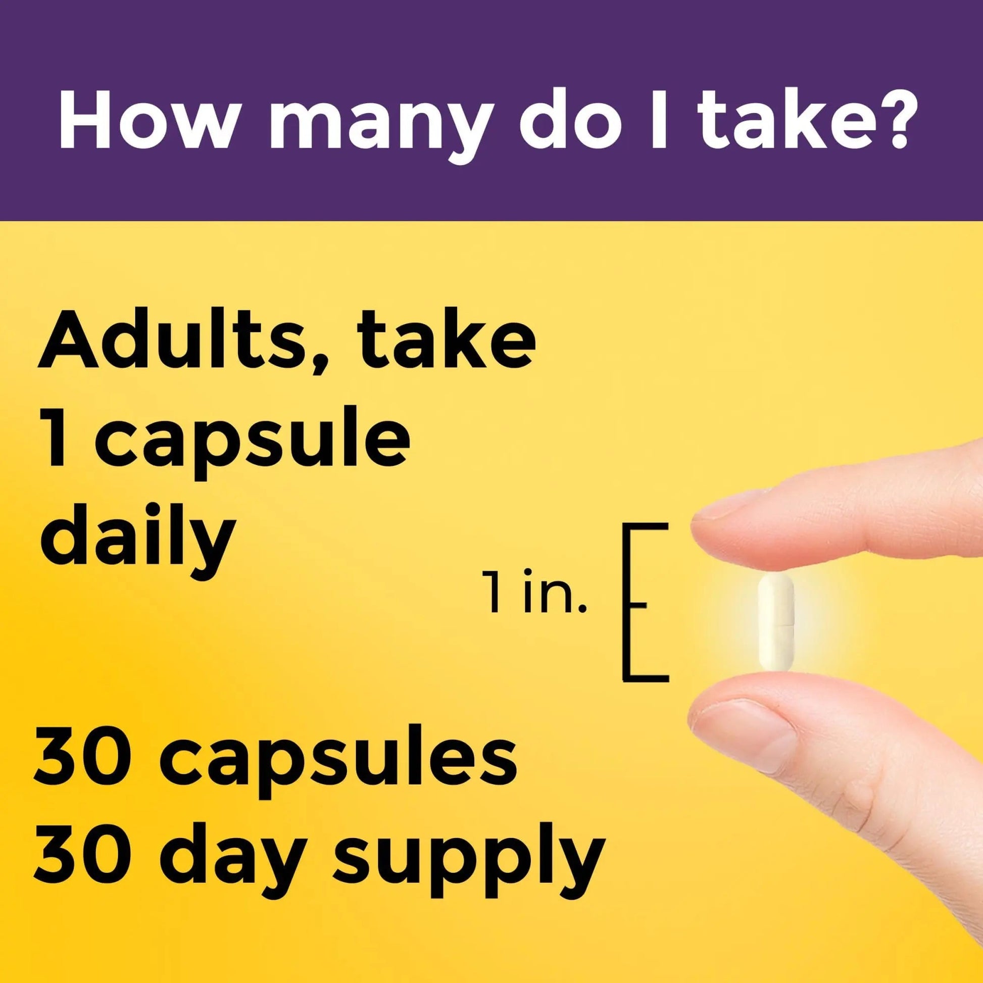 Nature Made Probiotics for Digestive Health Extra Strength 15 Billion CFU from Live Cultures, Probiotics for Women and Men, 30 Probiotic Capsules, 30 Day Supply - Maple Wellness Supplements