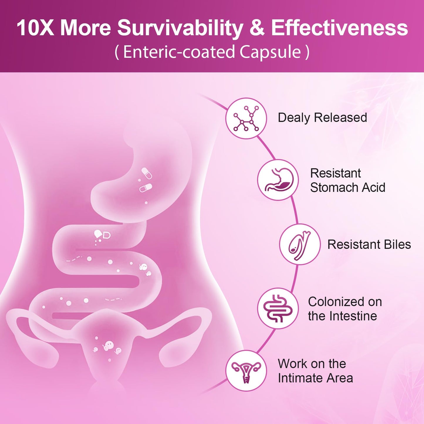 NATURE TARGET Probiotics for Women, 100 Billion CFUs Probiotic with Digestive Enzymes & Prebiotics, Vaginal Probiotics with Cranberry for Urinary Tract Health - Maple Wellness Supplements