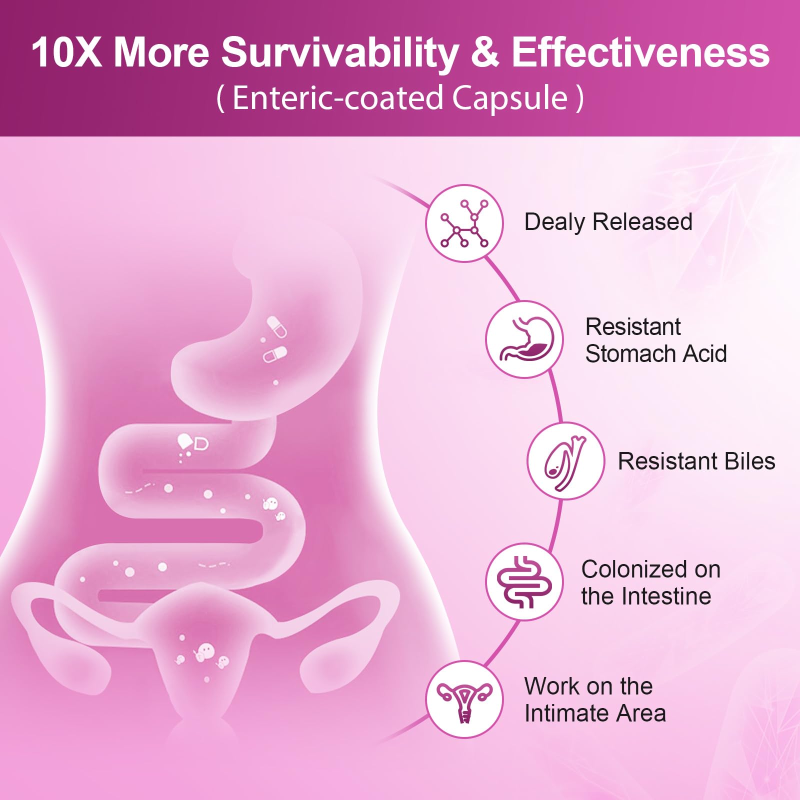 NATURE TARGET Probiotics for Women, 100 Billion CFUs Probiotic with Digestive Enzymes & Prebiotics, Vaginal Probiotics with Cranberry for Urinary Tract Health - Maple Wellness Supplements