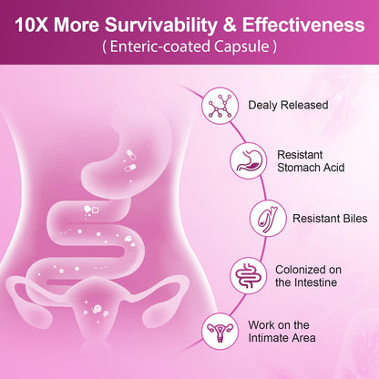 NATURE TARGET Probiotics for Women, 100 Billion CFUs Probiotic with Digestive Enzymes & Prebiotics, Vaginal Probiotics with Cranberry for Urinary Tract Health - Maple Wellness Supplements