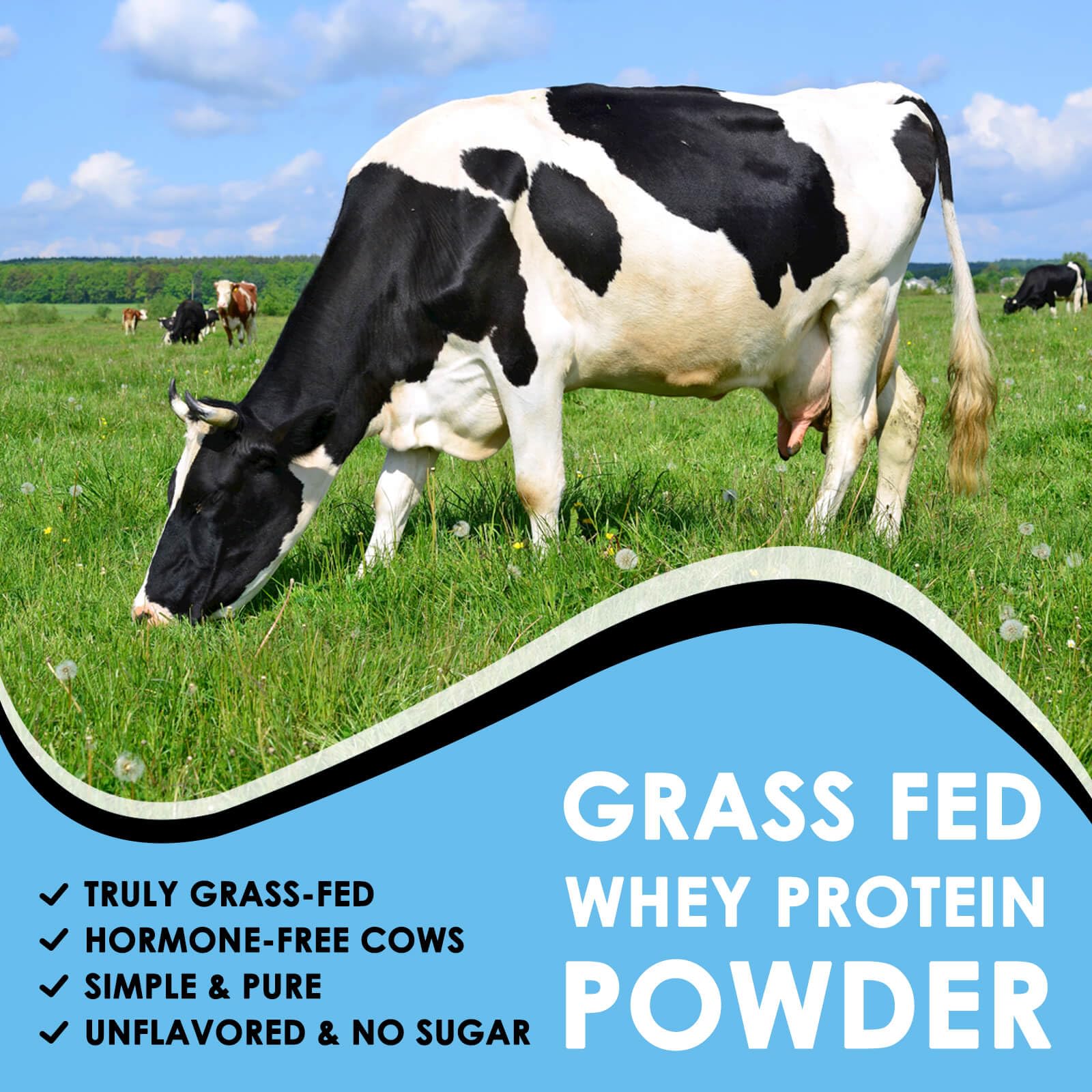 NATURE TARGET Unflavored Whey Protein Isolate - 26g Protein, 0g Sugar, Keto Friendly - No rBGH, Grass Fed - Perfect for Coffee, Baking & Smoothies - 1.10 LB (16 Servings) - Maple Wellness Supplements