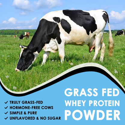 NATURE TARGET Unflavored Whey Protein Isolate - 26g Protein, 0g Sugar, Keto Friendly - No rBGH, Grass Fed - Perfect for Coffee, Baking & Smoothies - 1.10 LB (16 Servings) - Maple Wellness Supplements
